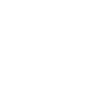 BrabRusCar